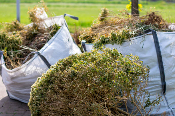 Best Junk Removal Near Me  in Weston, OH